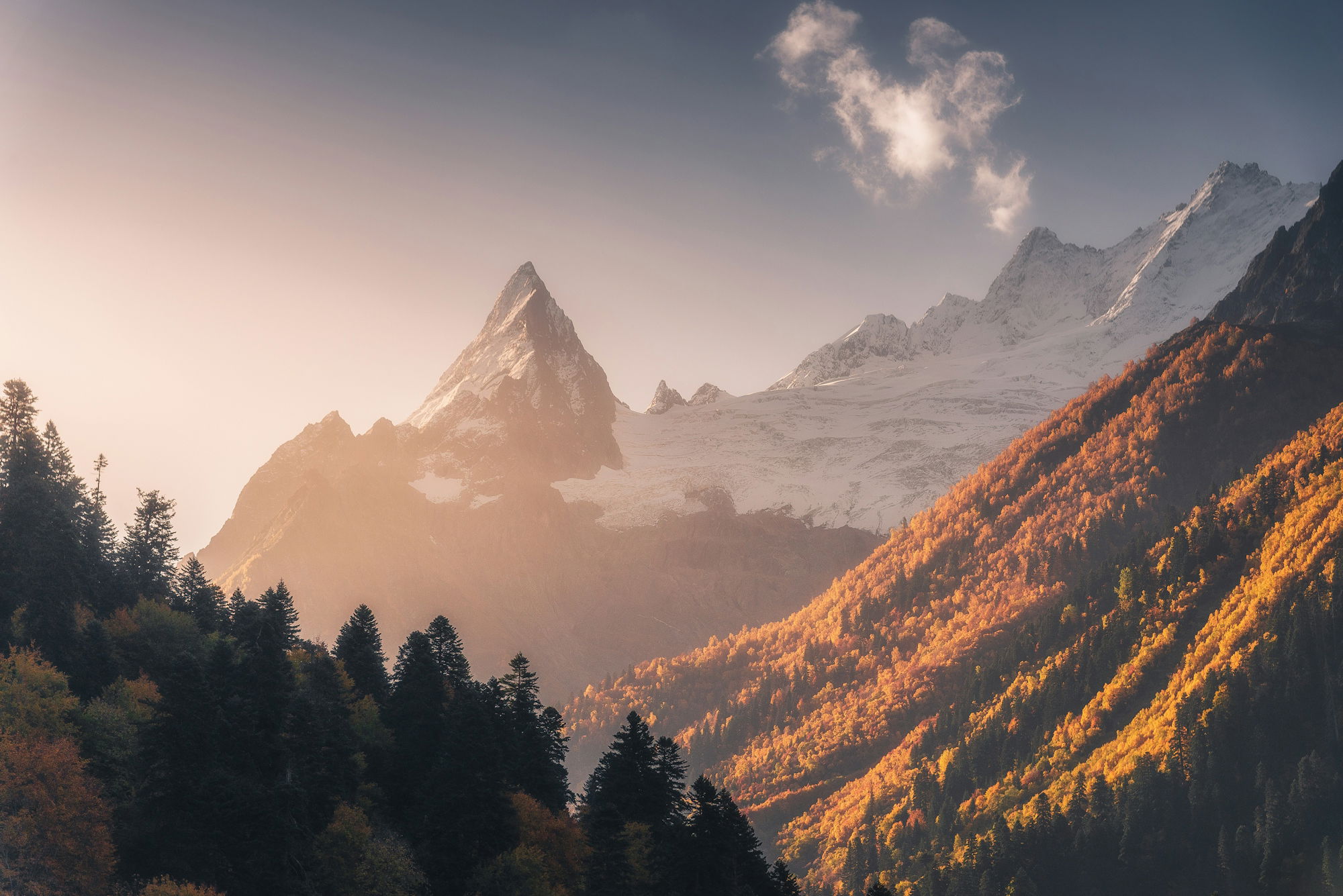golden-autumn-mountains-with-pine-trees-and-snow-.jpg Golden autumn mountains with pine trees and snow.